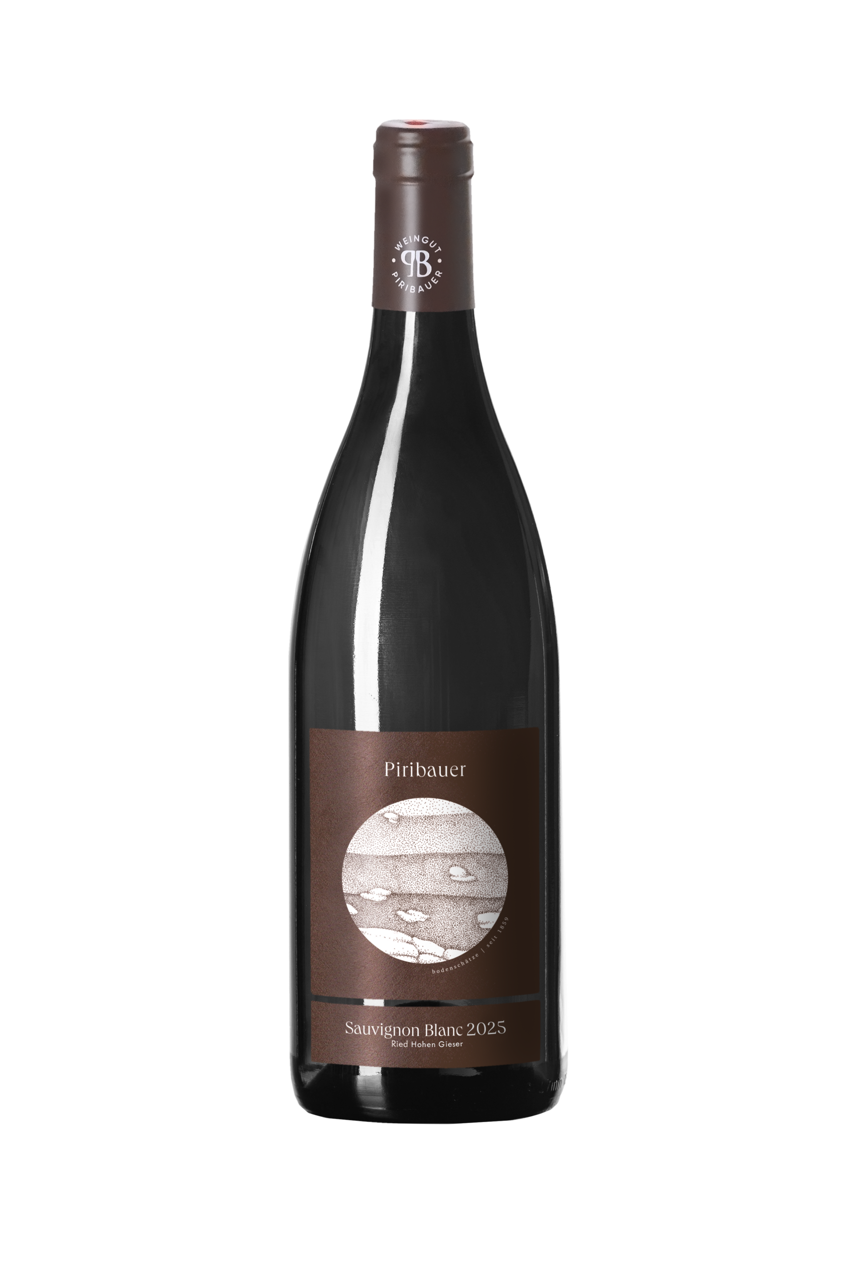 Sauvignon Blanc Ried Hohen Gieser 2025