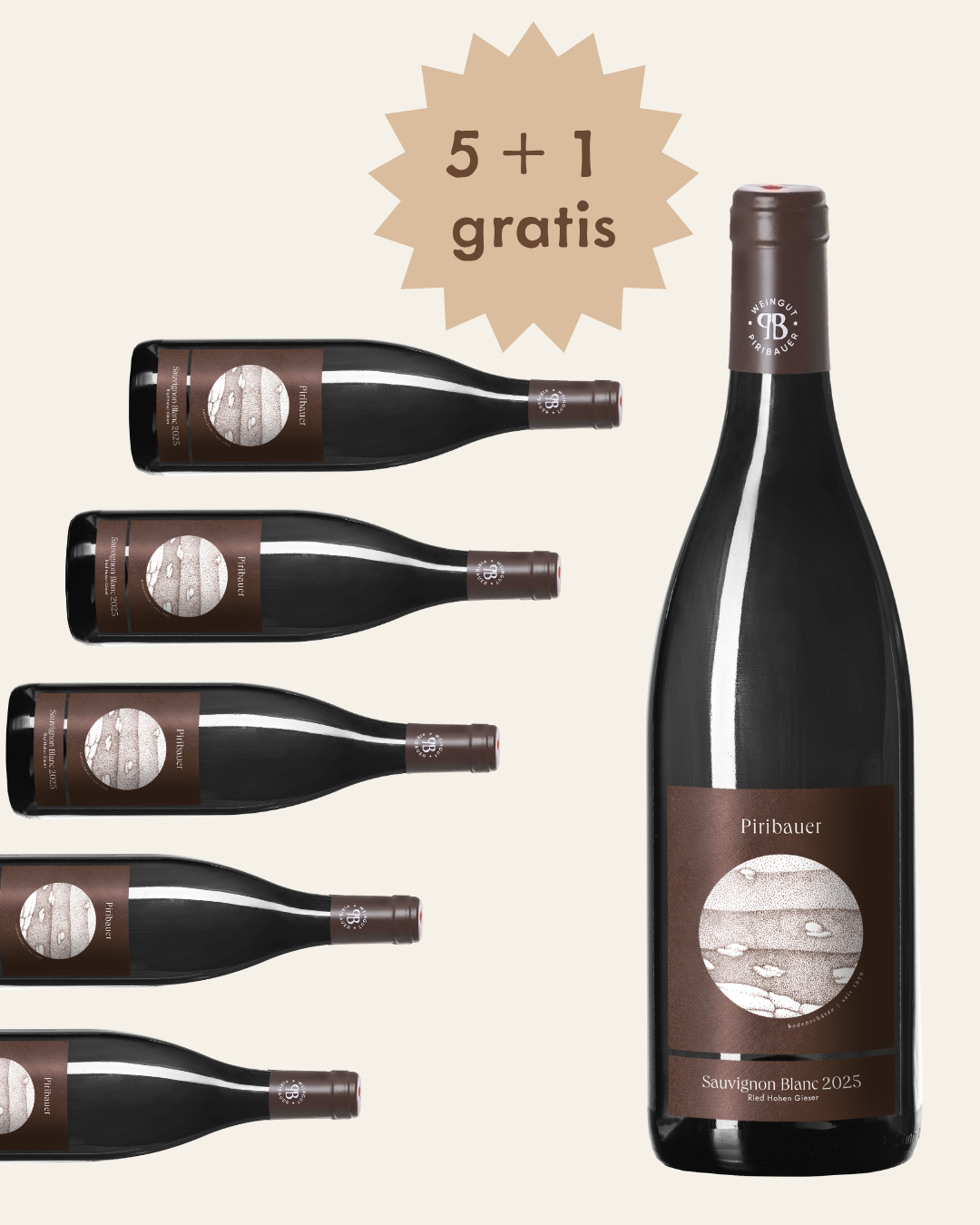 Sauvignon Blanc Ried Hohen Gieser, 5+1